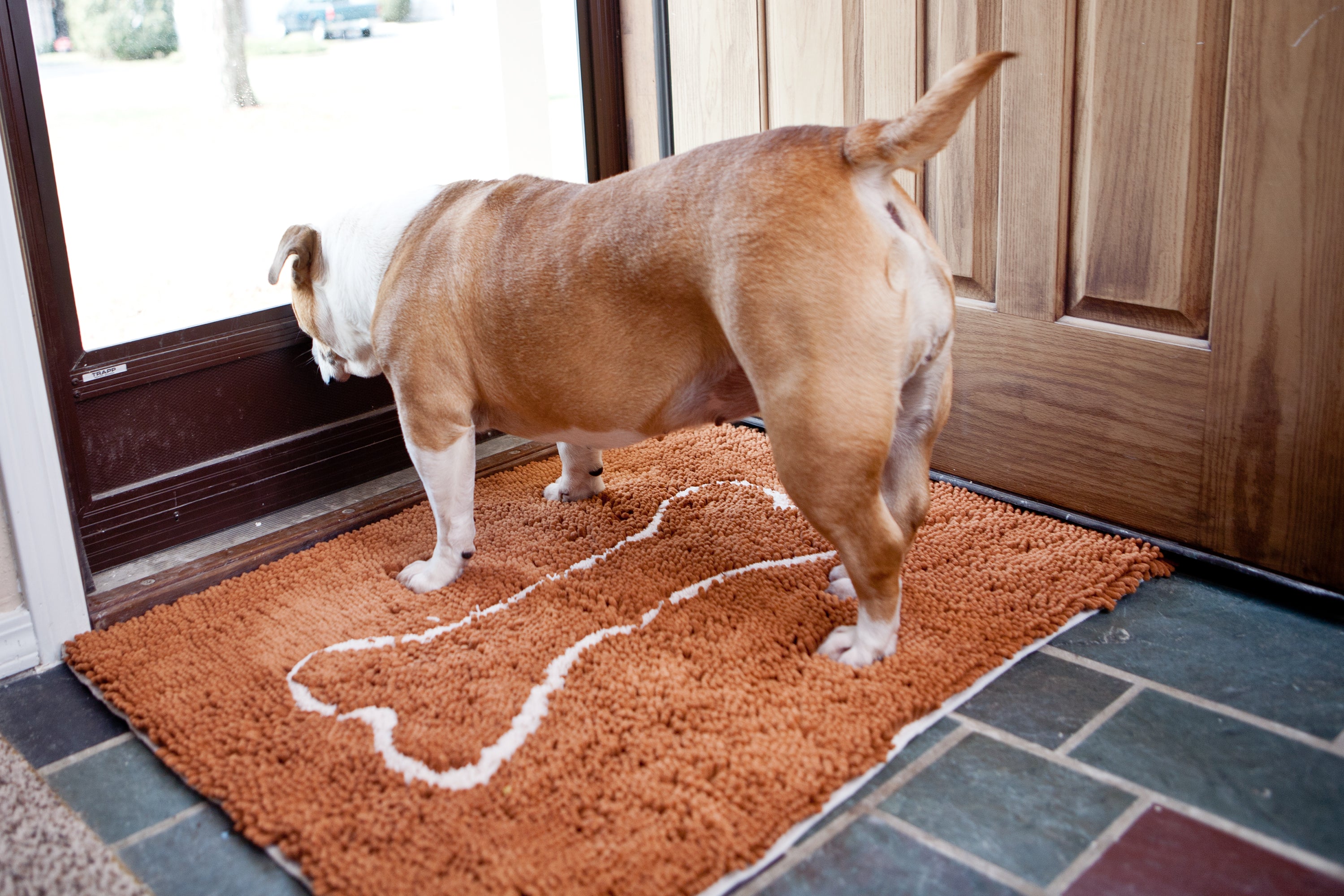  Soggy Doggy Doormat with Bone Design, Microfiber Chenille  Indoor Wet Dog Mat for Muddy Paws and Drying, Ultra-Absorbent Dog Mats for  Sleeping and Lounging, Caramel Brown/Oatmeal Bone : Pet Bed